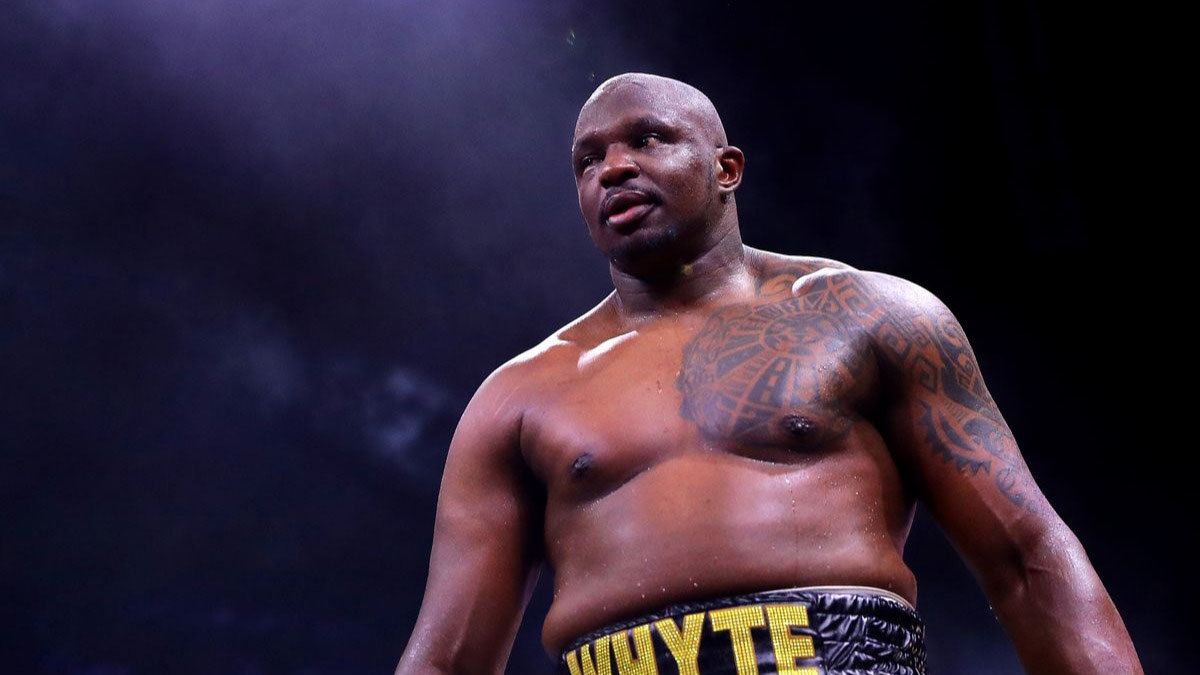 Dillian Whyte (/?d?li??n/; born 11 April 1988) is a British professional boxer, and former kickboxer and mixed martial artist. He has held the WBC int...
